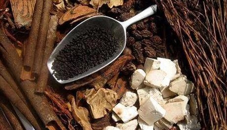 我們應該如何正確服用蒙藥?